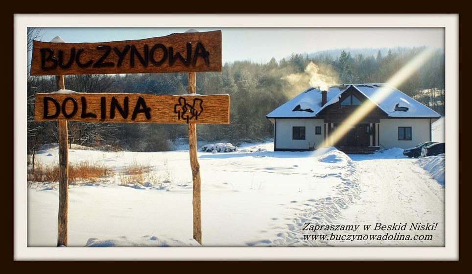 Narty biegowe / Biegówki  Beskidy- Beskid Niski