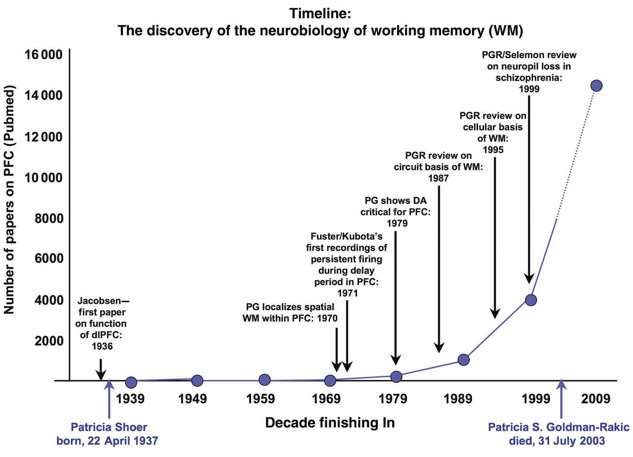 thesis on working memory The human memory - the study of human memory thesis favour the nurture side of alan baddeley and graham hitch proposed their model of working memory,. thesis on working memory The human memory - the study of human memory thesis favour the nurture side of alan baddeley and graham hitch proposed their model of working memory,.