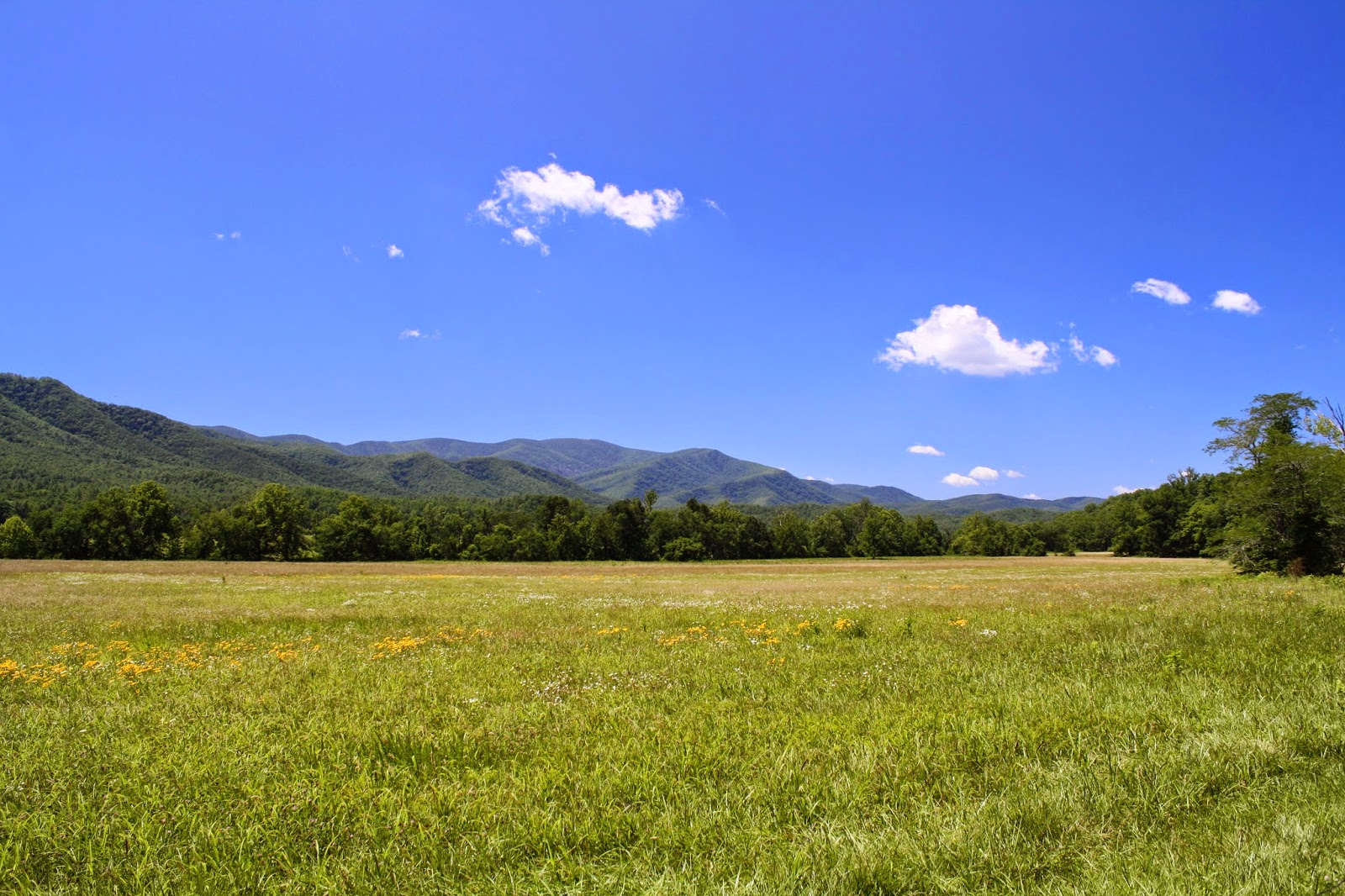 Cades Cove Great Smoky Mountains National Park BJ Bourg