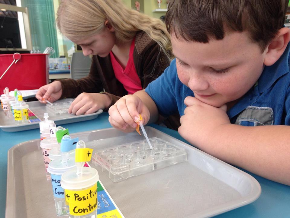 Trips 'n Toys Nature Research Center Raleigh, NC