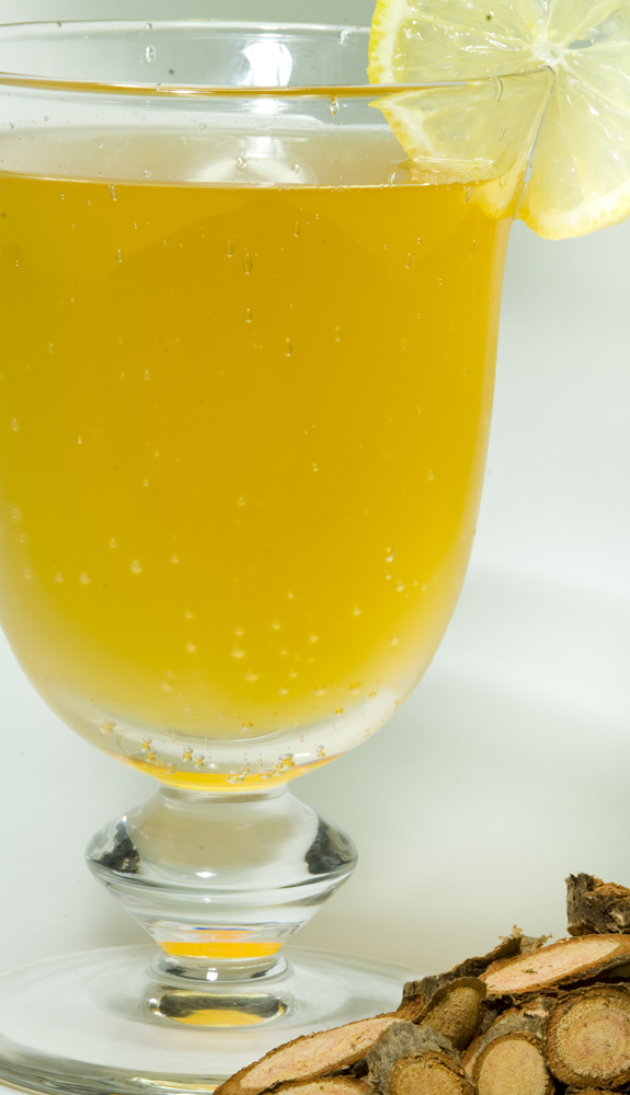 The 3 Foragers Foraging for Wild, Natural, Organic Food Sassafras