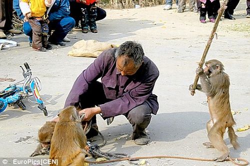 funny-photos-animals-attack-human-18.jpg