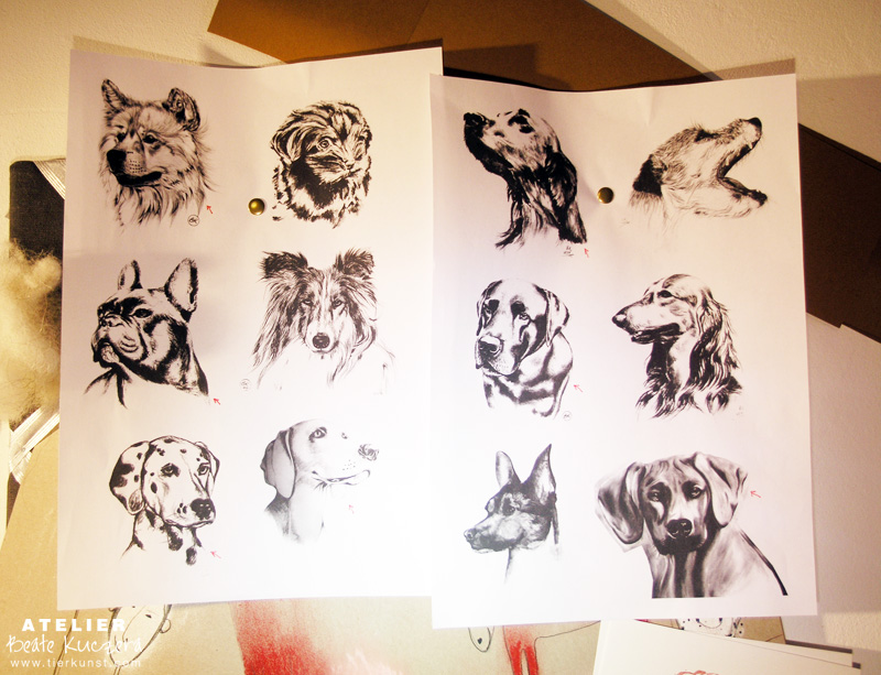 Siebdruck Schablone Trend Motive Tropical Zum Auftragen Von Farbe