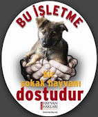 BU BLOG SOKAK HAYVANI DOSTUDUR