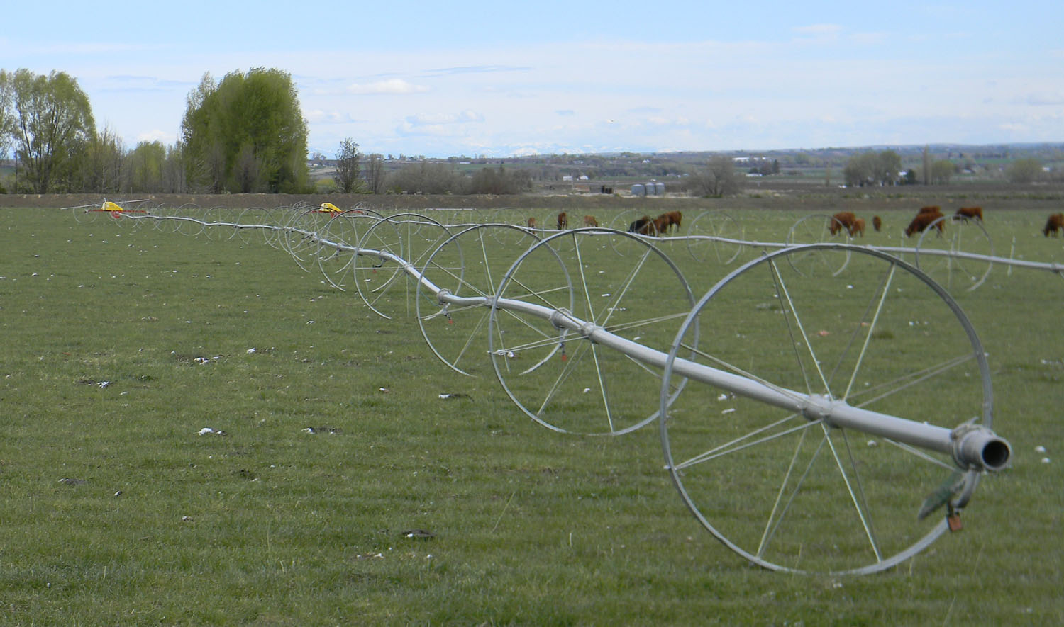 Owyhee Agriculture Artificial Rain