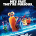 Watch Turbo (2013) Full Movie Online