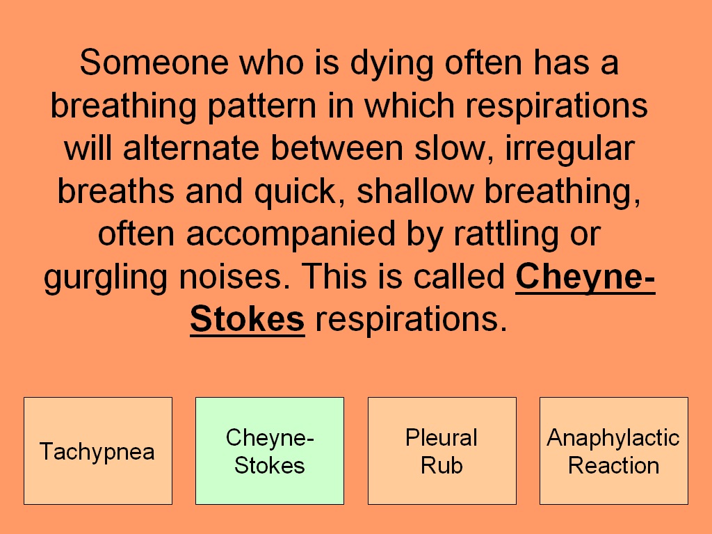 Student Survive 2 Thrive June 2012