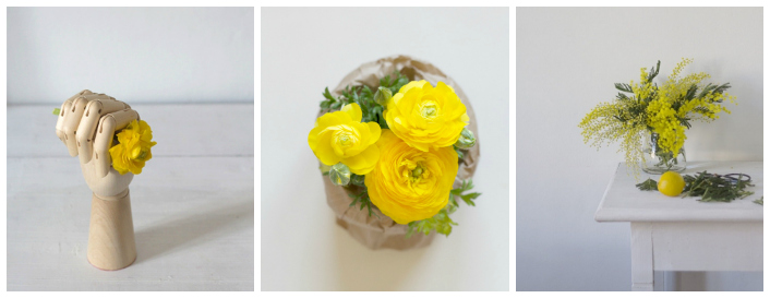 Daglig. Maria Pazos. Daglig. Maria Pazos.