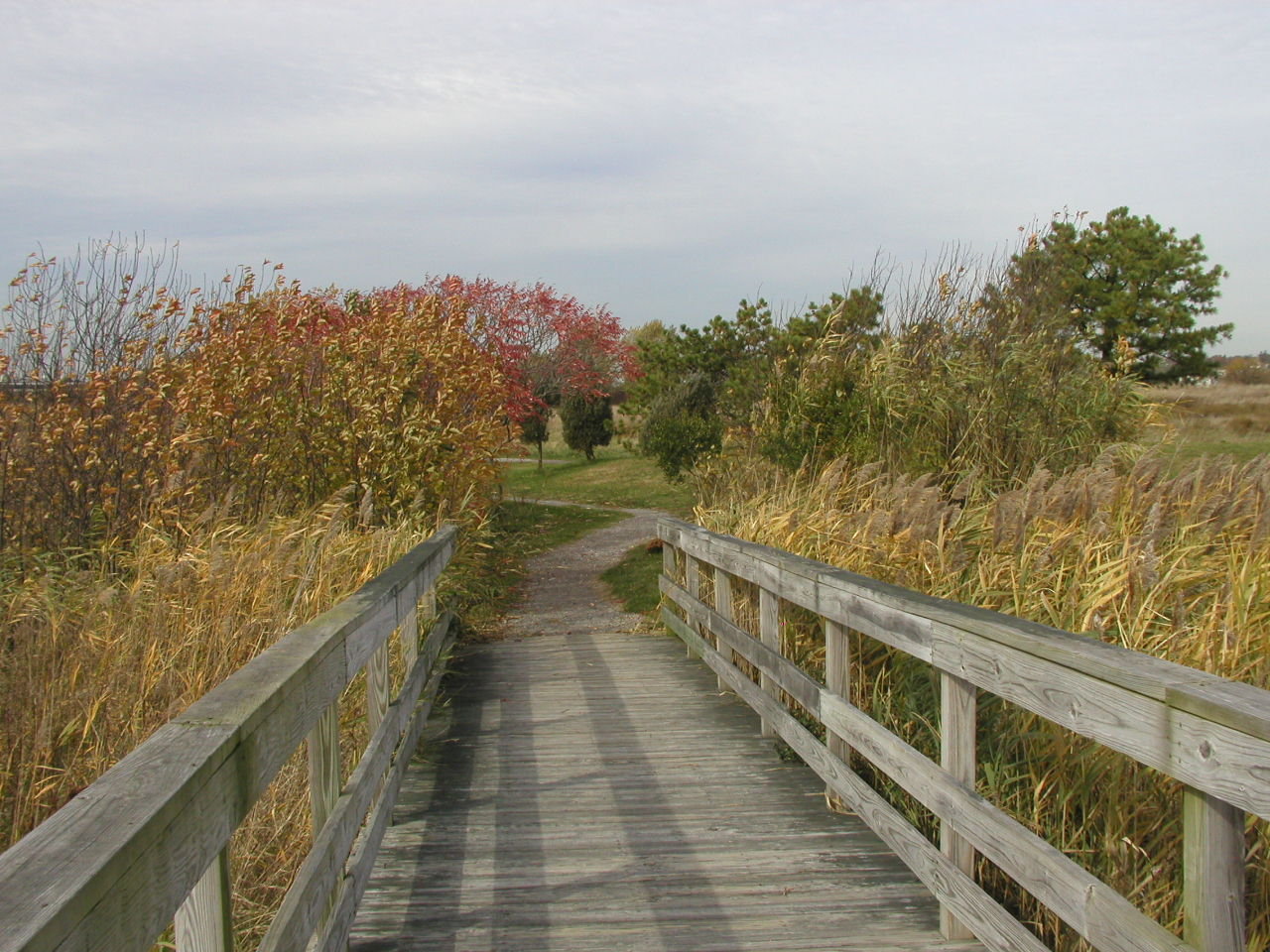 Everyone Outdoors Accessible Trails in Massachusetts
