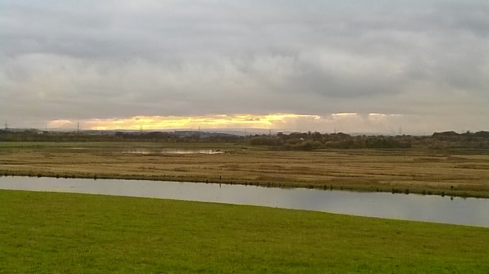 Close Encounters of the Bird Kind Exploring Swillington Ings/St. Aidans