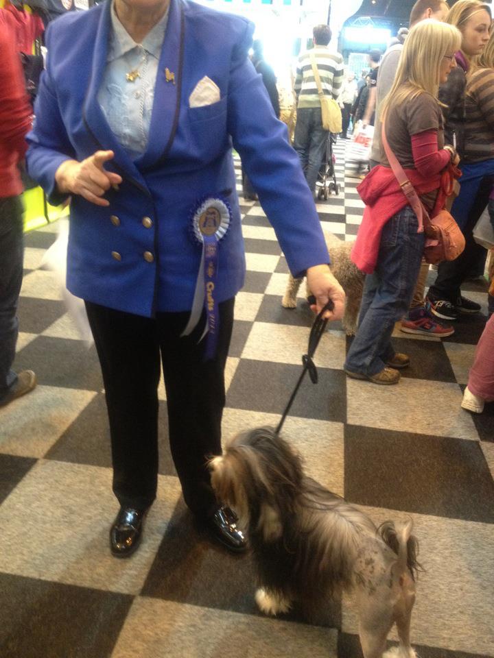 Professional Dog Grooming Shampoo MD10 Collection Champu para Perros