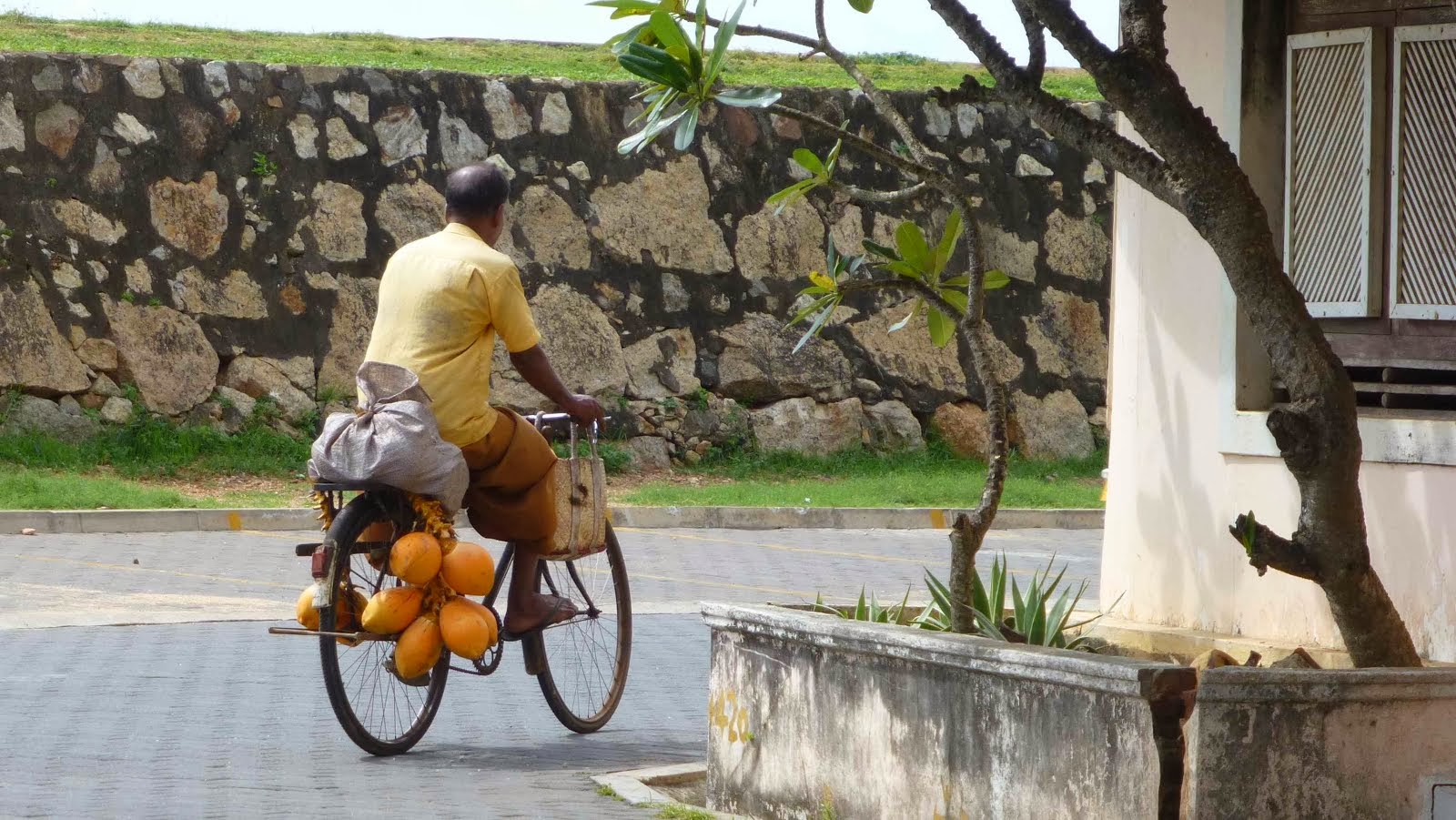 Ayu bowan Sri Lanka !