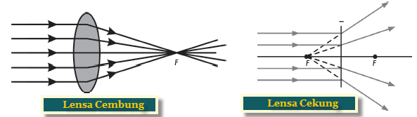 Lensa IPA Kumpulan Soal Ujian Terbaru