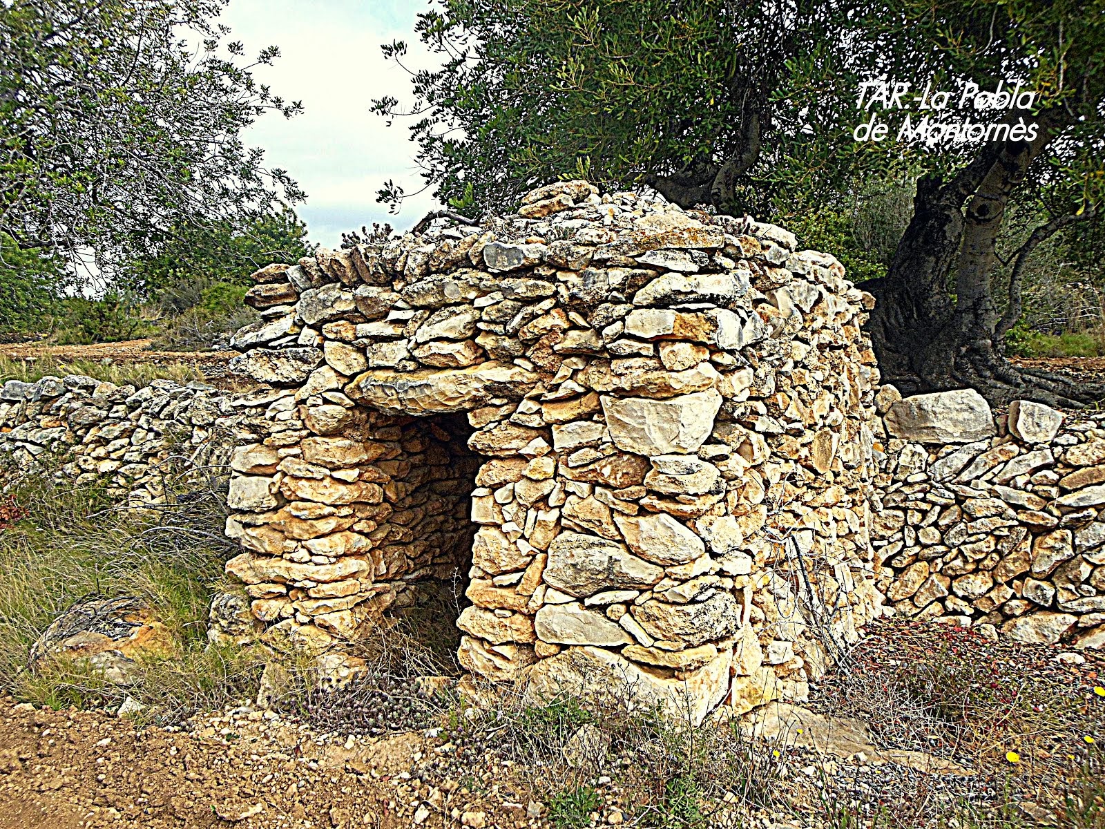 UNA ESTÈTICA PERFECTE, PEDRA I GARROFERS.