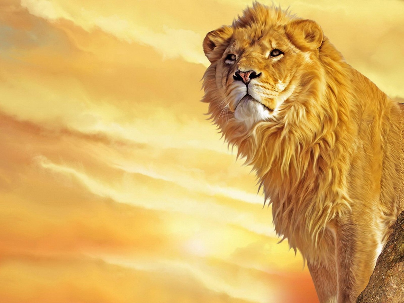 LiveS Lion of Zion