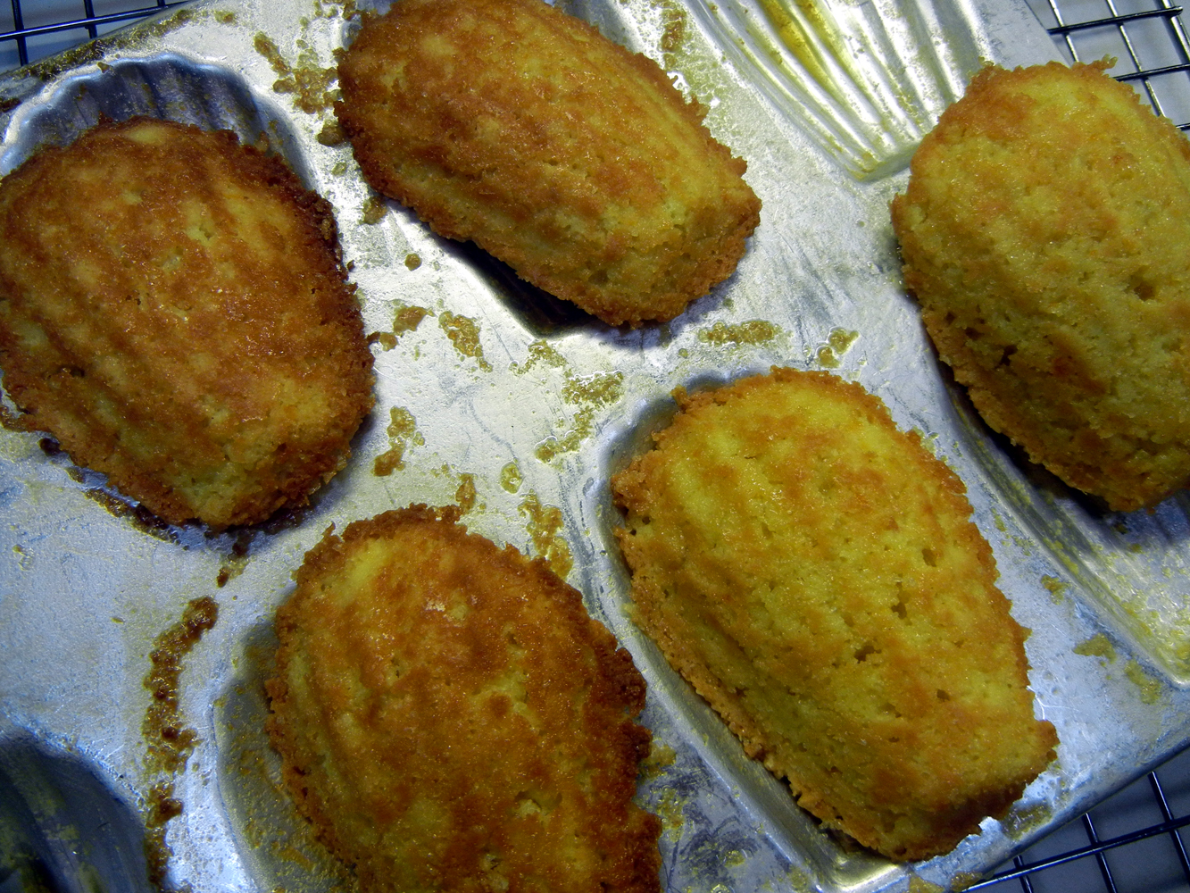 Ronna's Blog Stepbystep Madeleines
