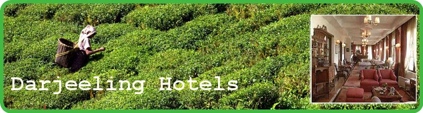 Darjeeling Hotels | Hotels in Darjeeling | Budget Hotels in Darjeeling  | Cheap Hotels Darjeeling