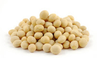 soy protein soy