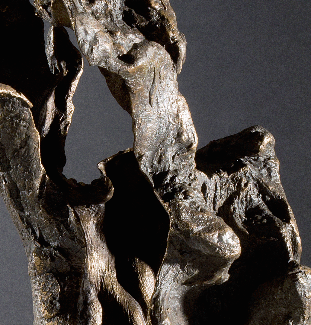 Attinia visual artist: radice del dissenso Ceppi con radice di legno