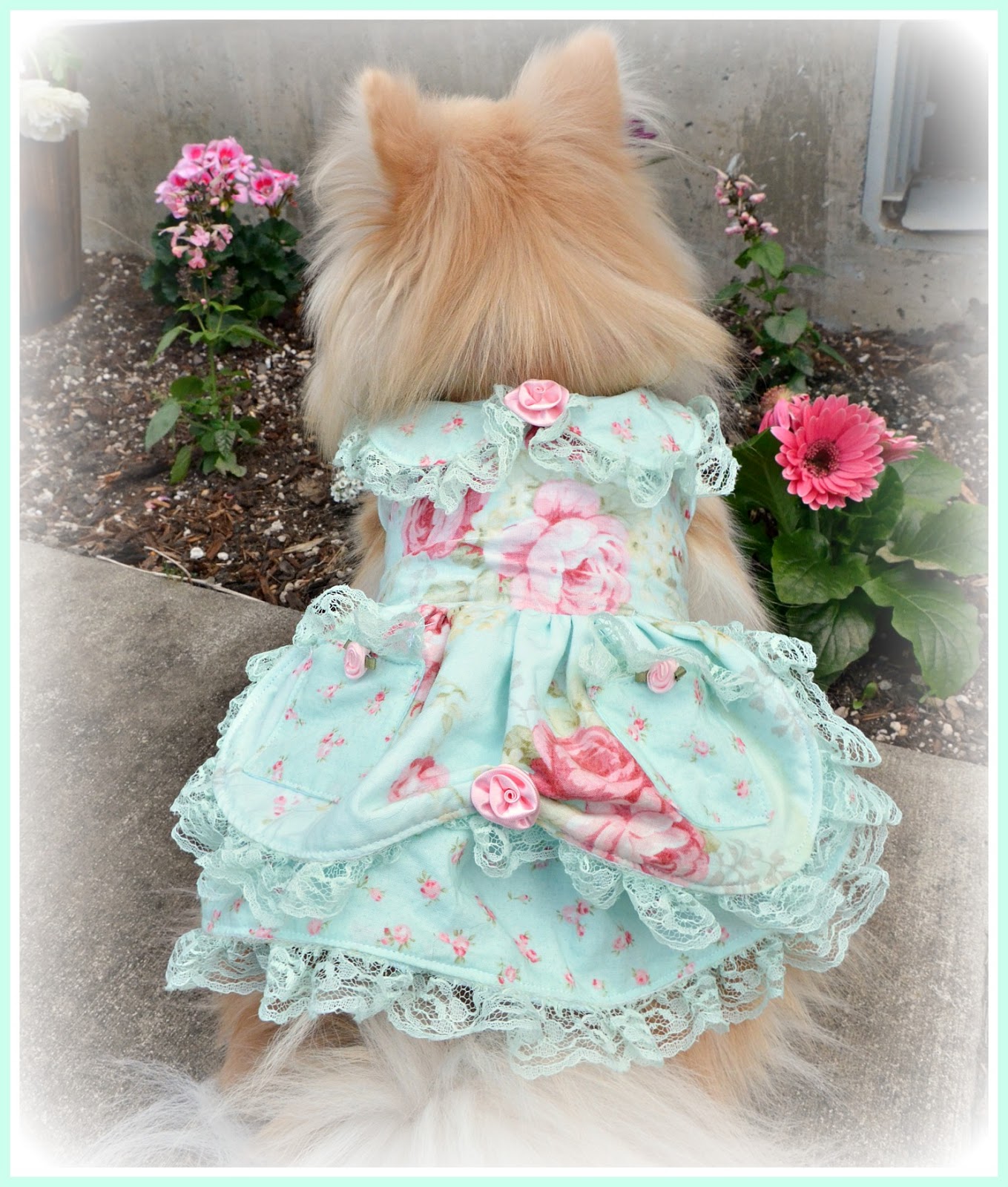 For the love of white Shabby Chic Doggie Dresses