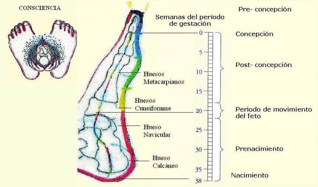 Correspondencia