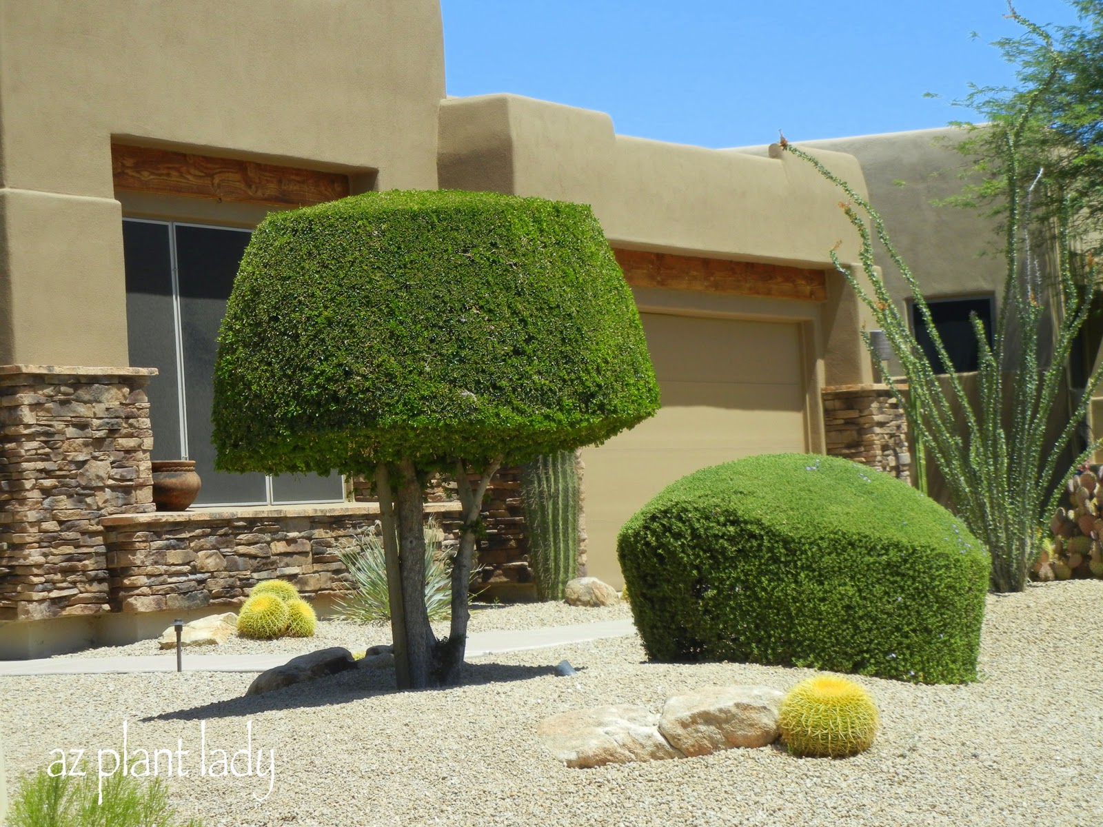 Dennis Southern Nevada Landscape Blog Avoid Creating Geometric