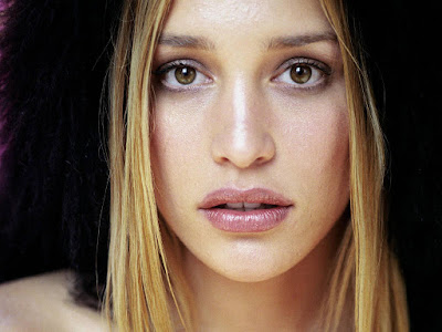 American Stage Actress Piper Perabo New Wallpaper