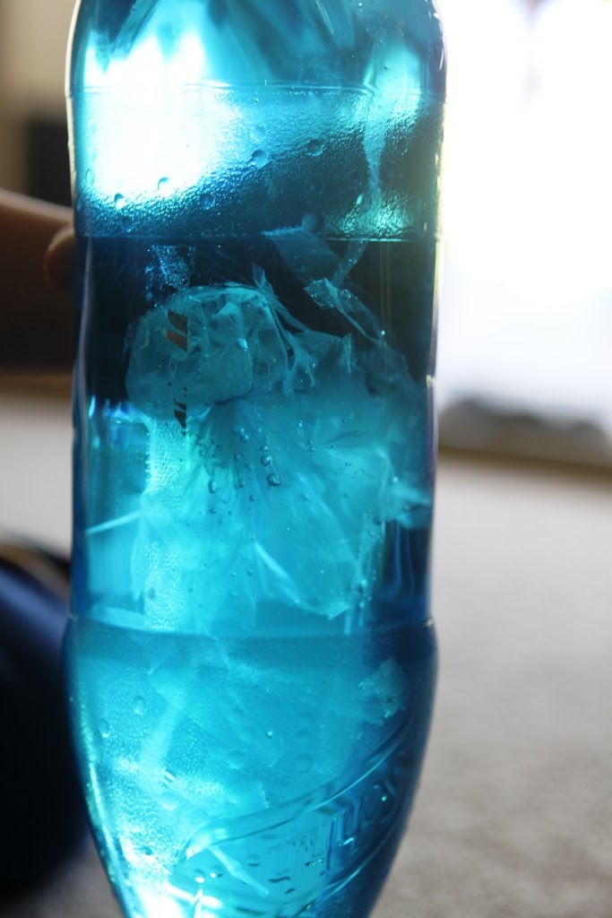 Mumma made it jellyfish in a bottle