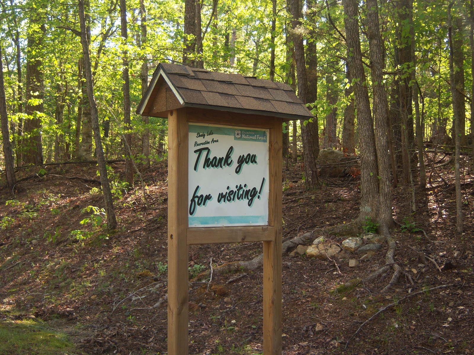 Chicagoland Greenery Shady Lake in Ouachita National Forest, Arkansas