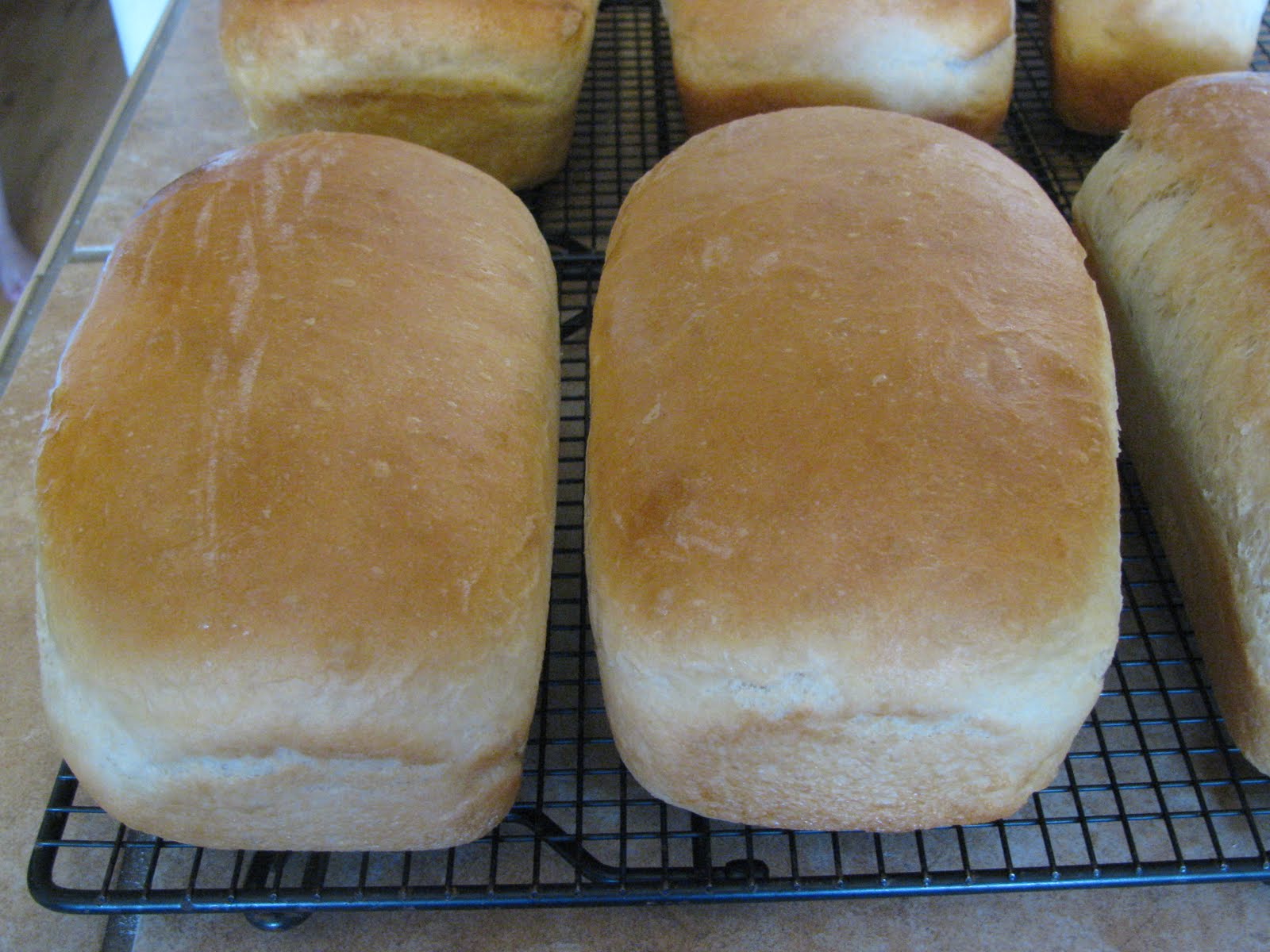 Anissa's Kitchen My new favorite White Bread recipe