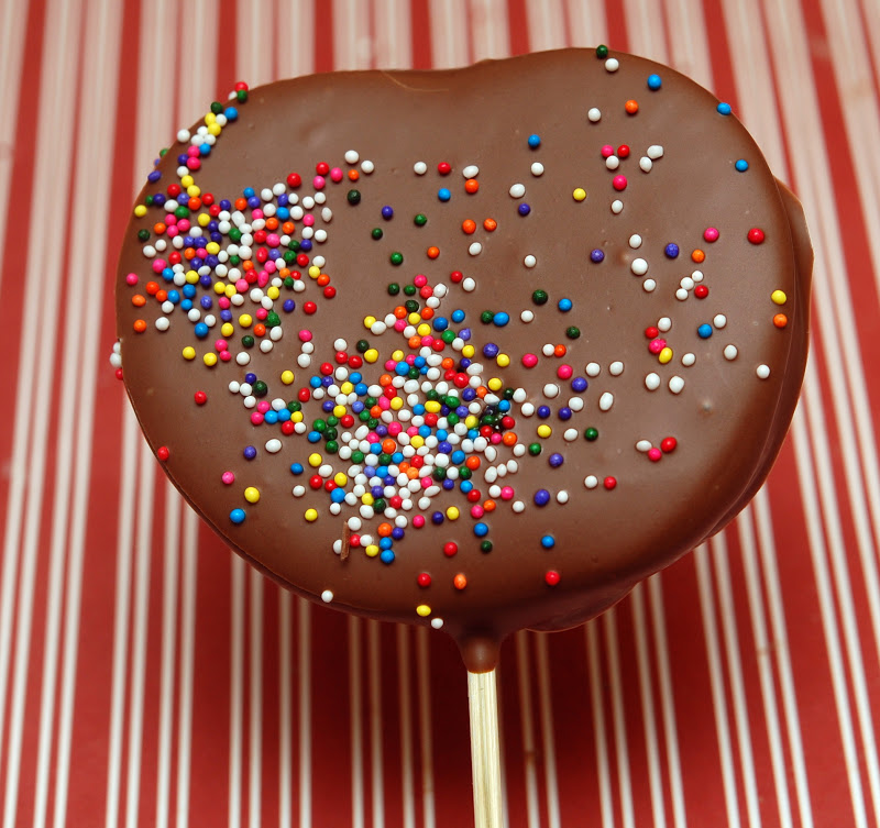CHOCOLATE DIPPED APPLE SLICE LOLLIPOPS Hugs and Cookies XOXO