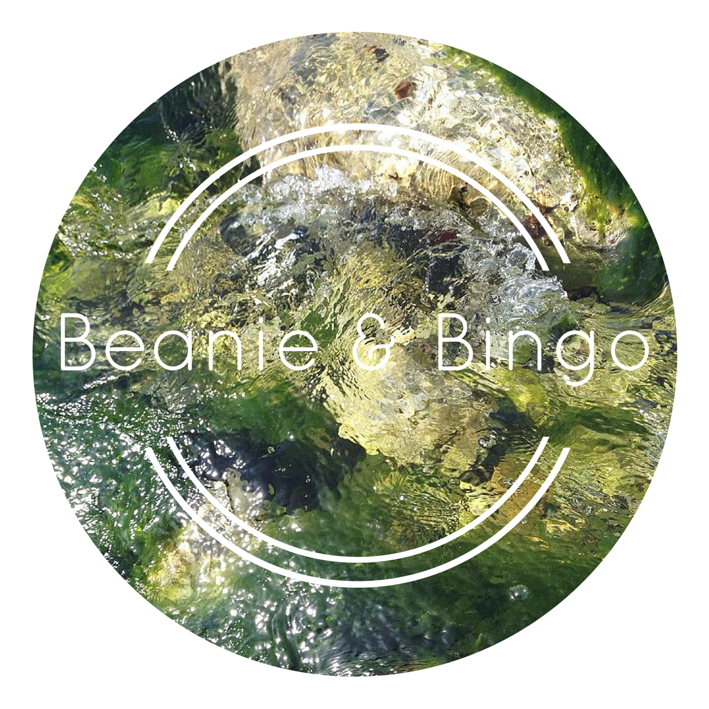beanie and bingo