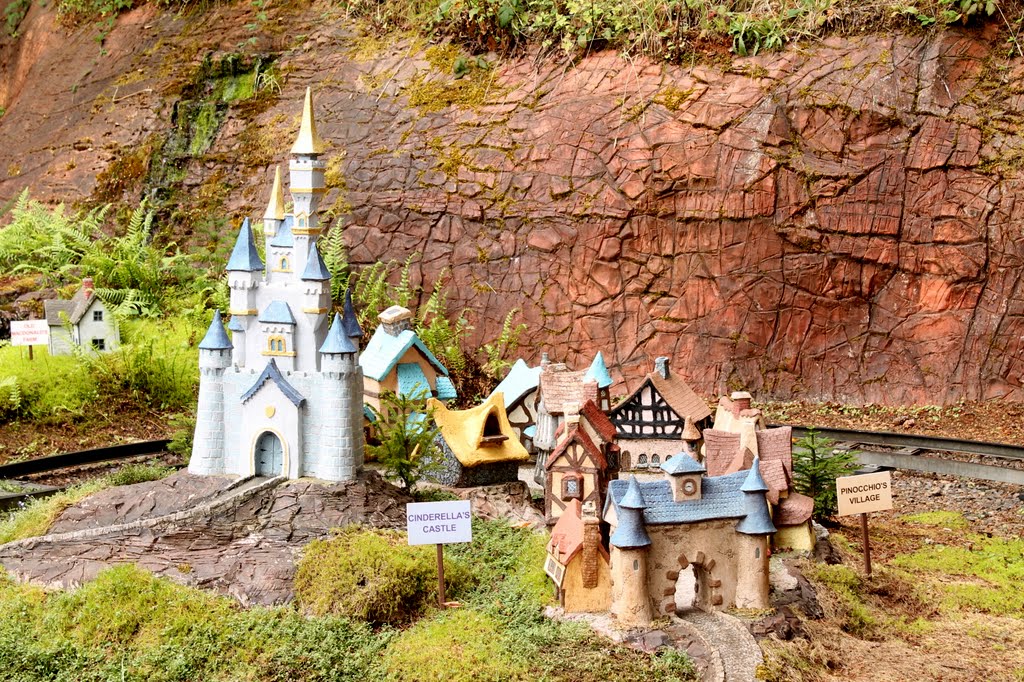 Rindy Mae: Enchanted Forest