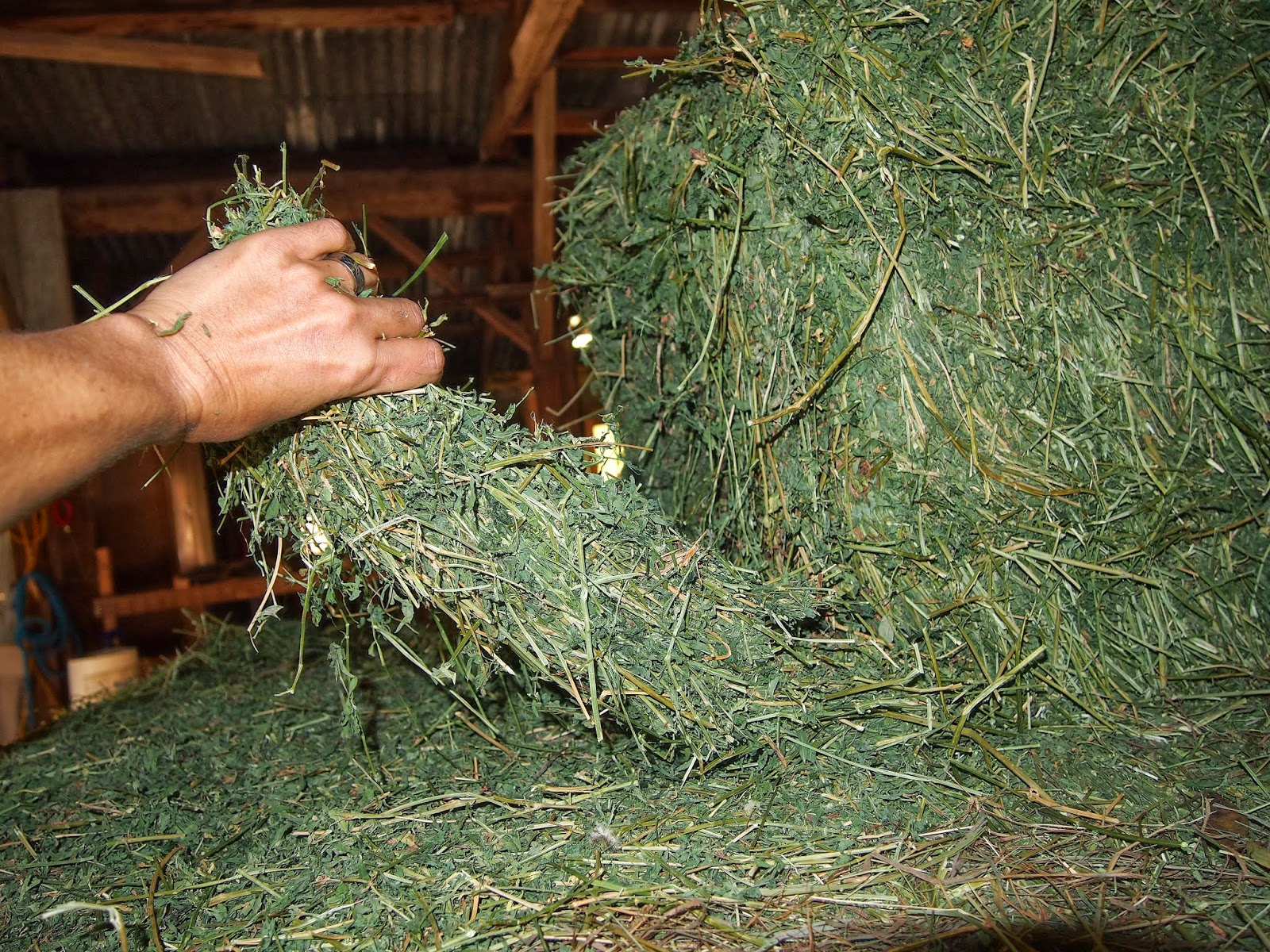 Twisted Fern Farm This Is What You Signed Up For! Mwahaha