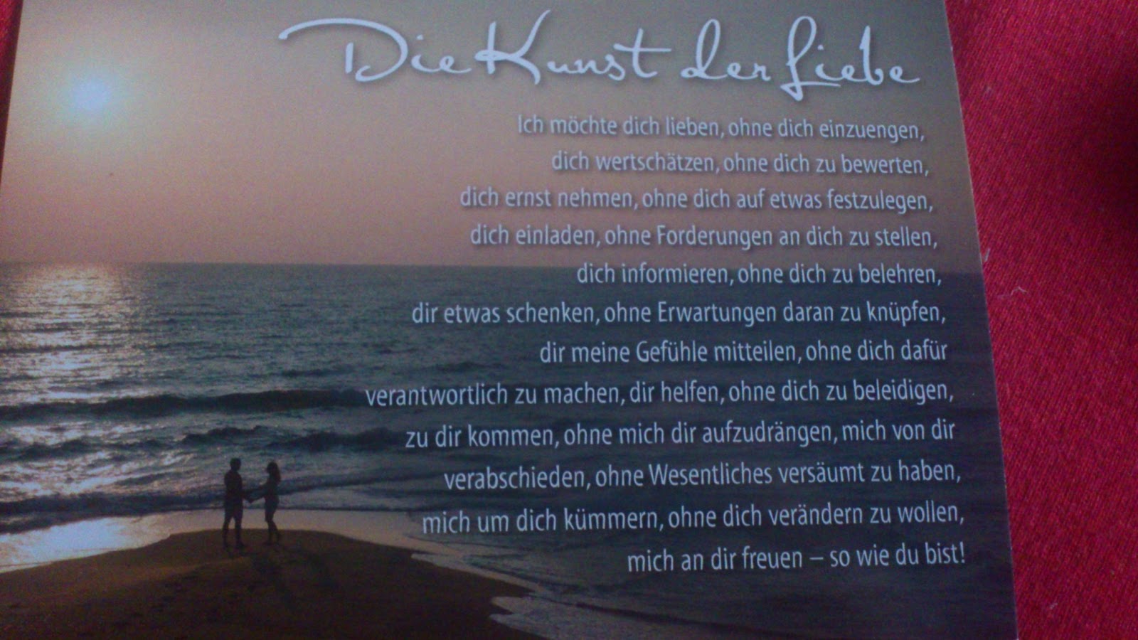 Lara Sophie Ootd New Cap