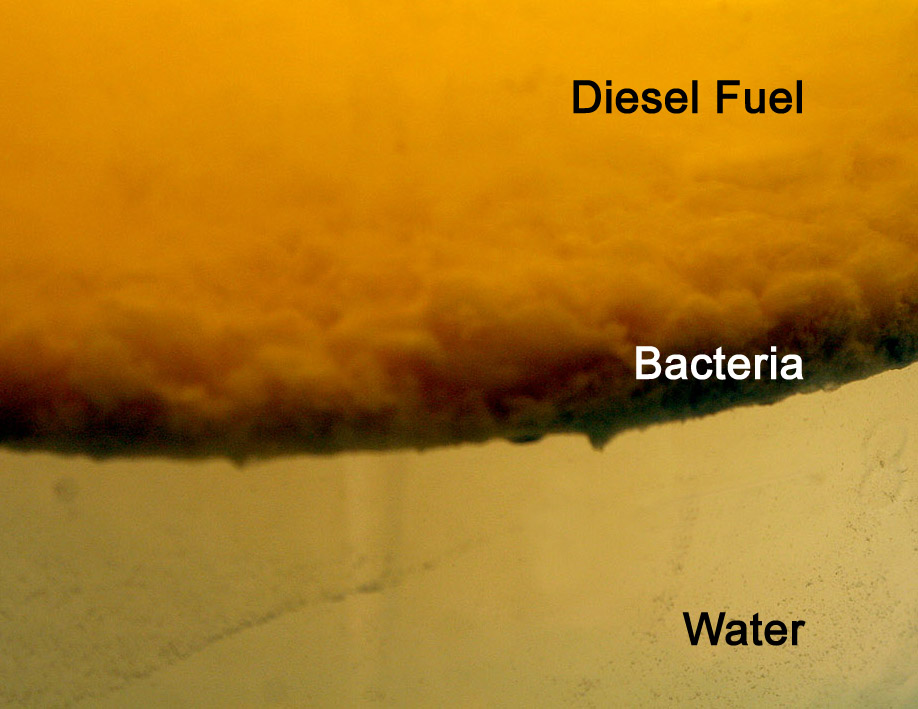 SEAL Consultant Fuel Contamination Breakdown?