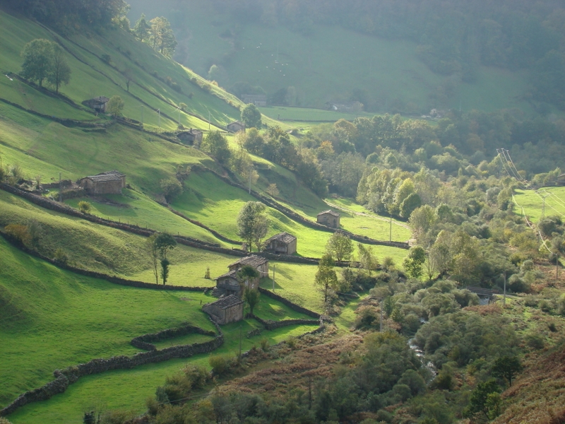 FERNANDINHO MARCONI VALLES