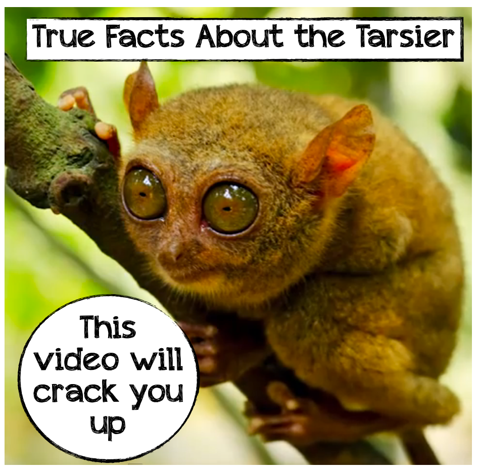 Rants From Mommyland Our Guru Is Knocked Up And Lots Of Other Stuff