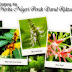 Taman Herba Negeri Perak