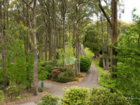 Walking-trails-of-Mount-Lofty-Botanic-Garden