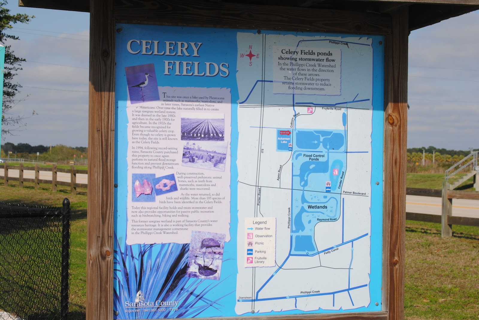 Field Notes and Photos Celery Fields Preserve