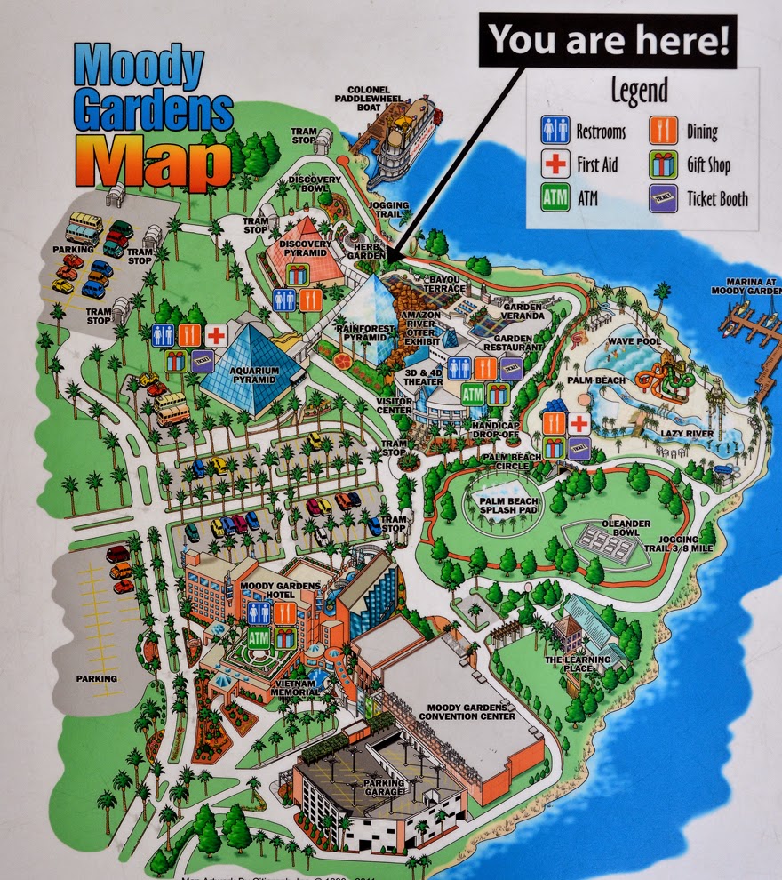 PeeWee Travels Exploring Galveston, Texas