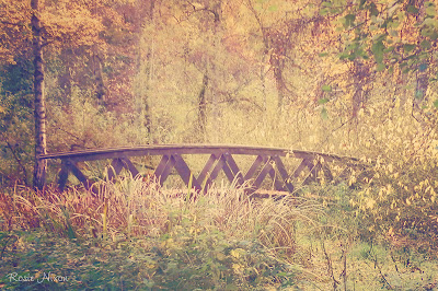 bridge in autumn pixel bender oil painting plugin