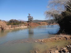 CAUDAL SOBRANTE DE LA PRESA EN EL RIO GUADIARO