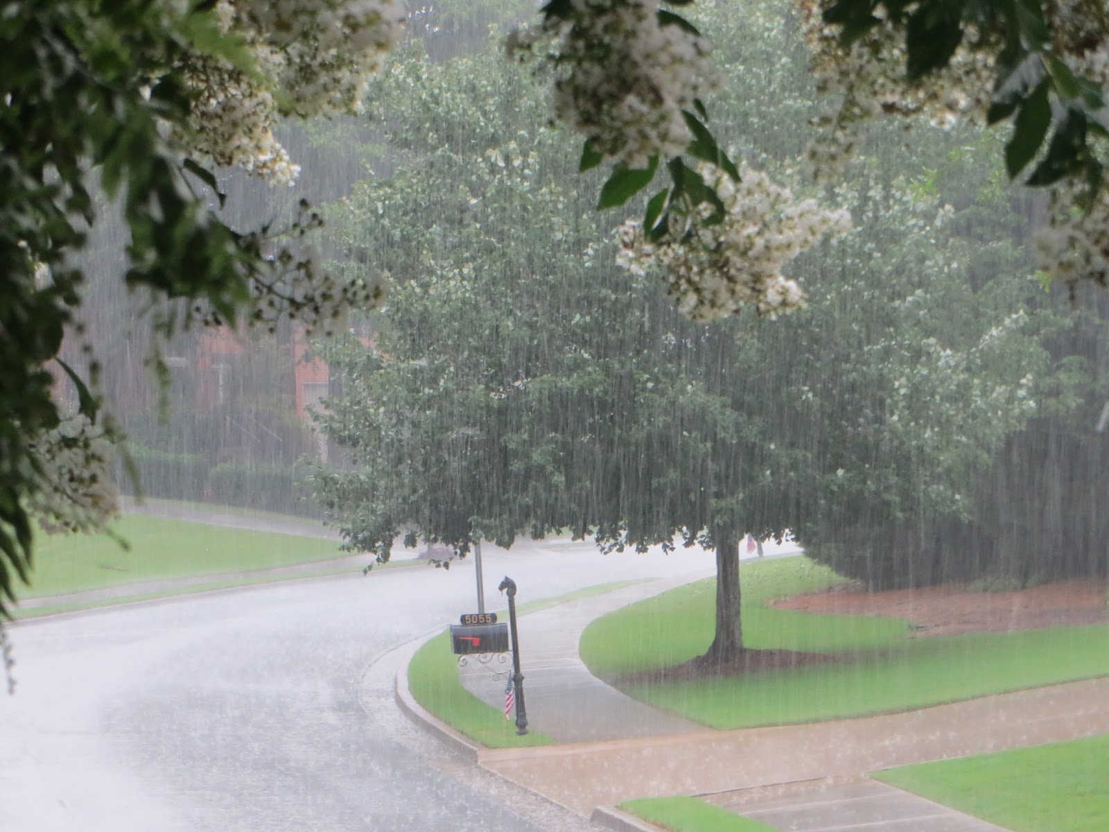 Simply LKJ It's Raining On Friday