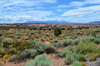 Utah: Arches & Canyonlands National Parks >> Over The Apple Tree