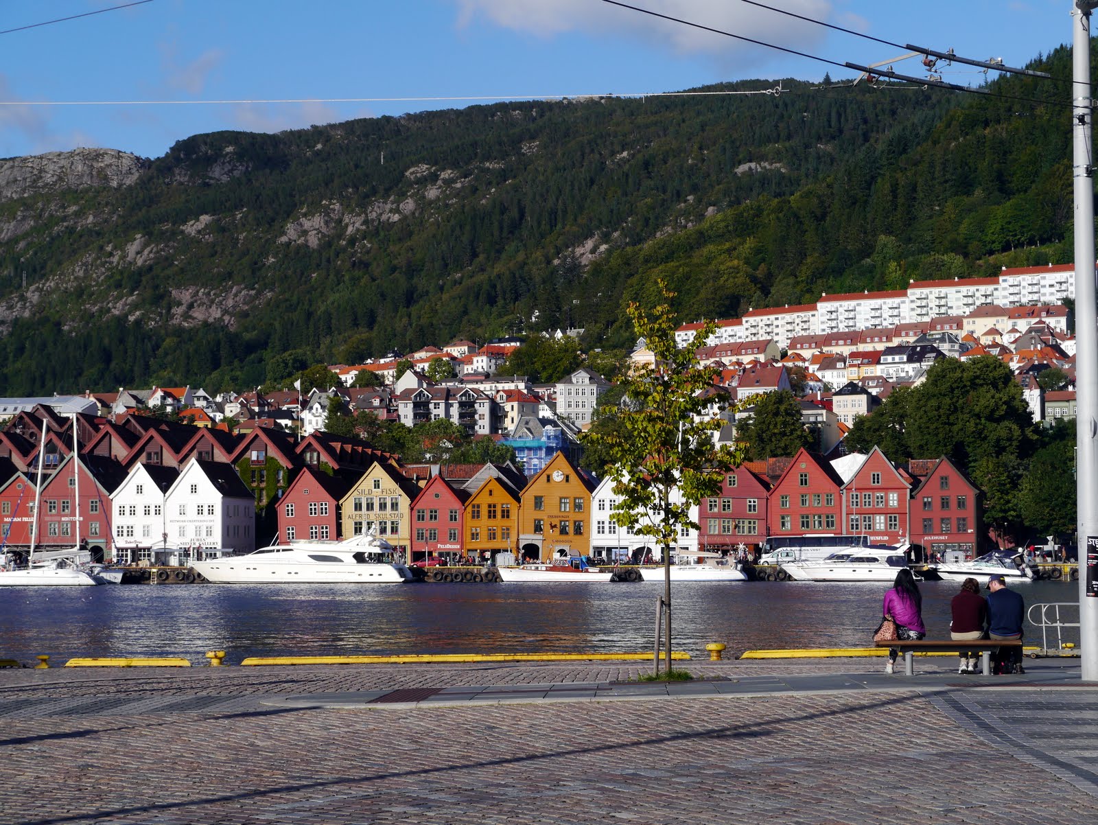 [Image: P1040698.JPG]