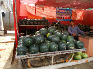 Giant size watermelons  in Nani Daman.