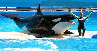 Arabian Nights discount