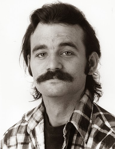 bill murray dogs cats without dogs bill murray bill murray dogs cats without dogs bill murray